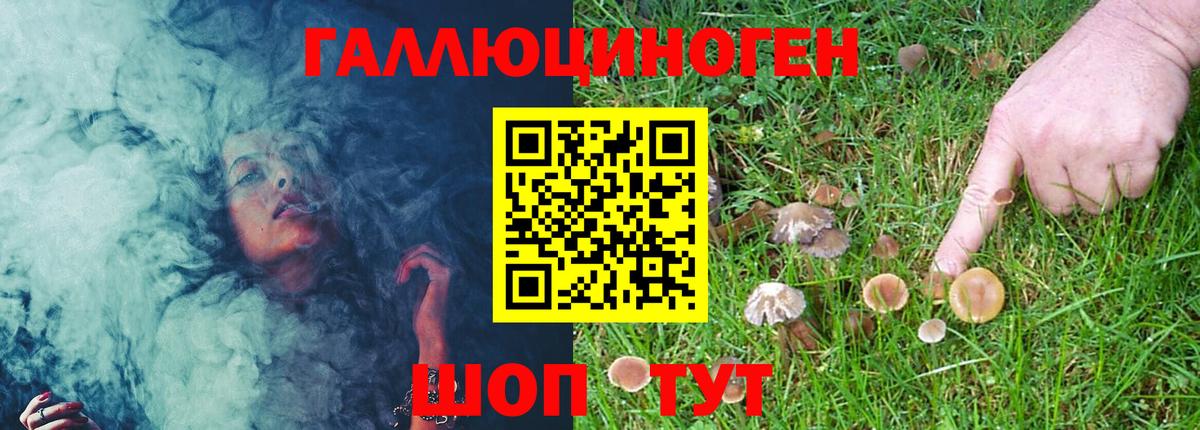 Галлюциногенные грибы мухоморы Джанкой